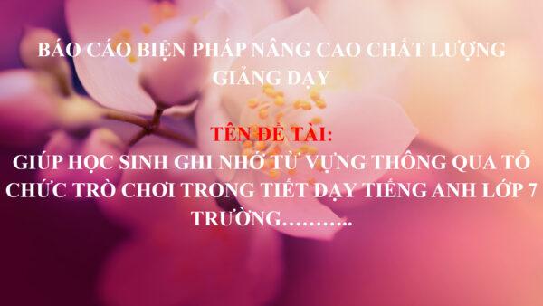 Số 2. Một số biện pháp để nâng cao chất lượng dạy từ vựng cho học sinh khối 7 trường THCS ABC